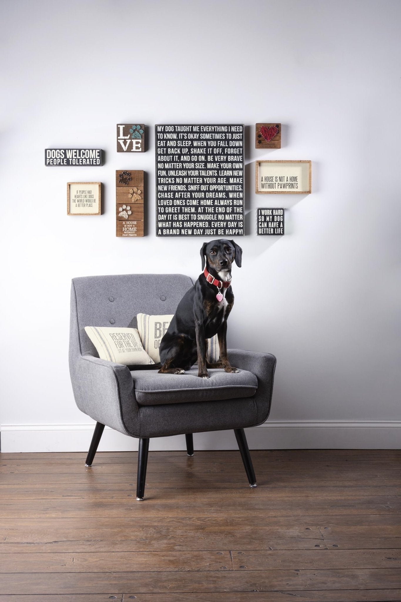 Primitives by Kathy Dog Decor Sign – “Dogs Welcome, People Tolerated” Rustic Wood Gift (5”) - Fenidog