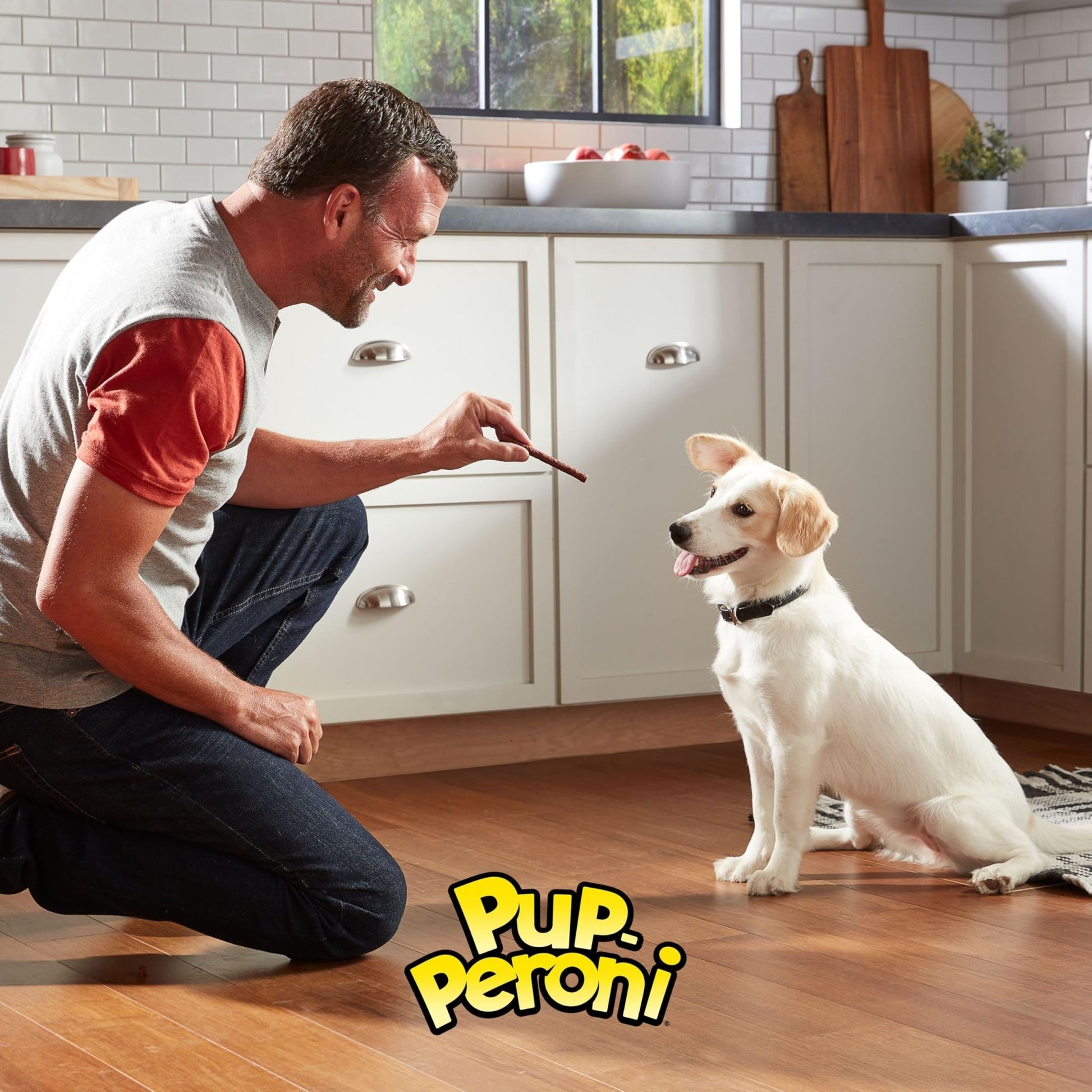 Pup - Peroni Dog Treats, Lean Beef Flavor, 38 Ounce, Made with Real Beef, 90% Fat Free - Fenidog