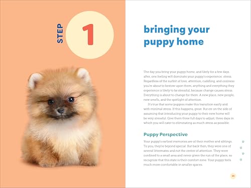 Puppy Training in 7 Easy Steps: Everything You Need to Know to Raise the Perfect Dog - Fenidog