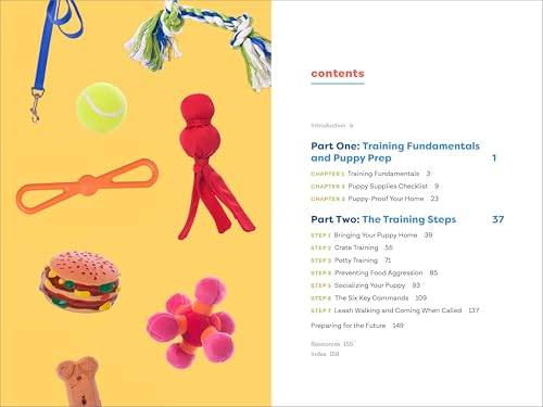 Puppy Training in 7 Easy Steps: Everything You Need to Know to Raise the Perfect Dog - Fenidog