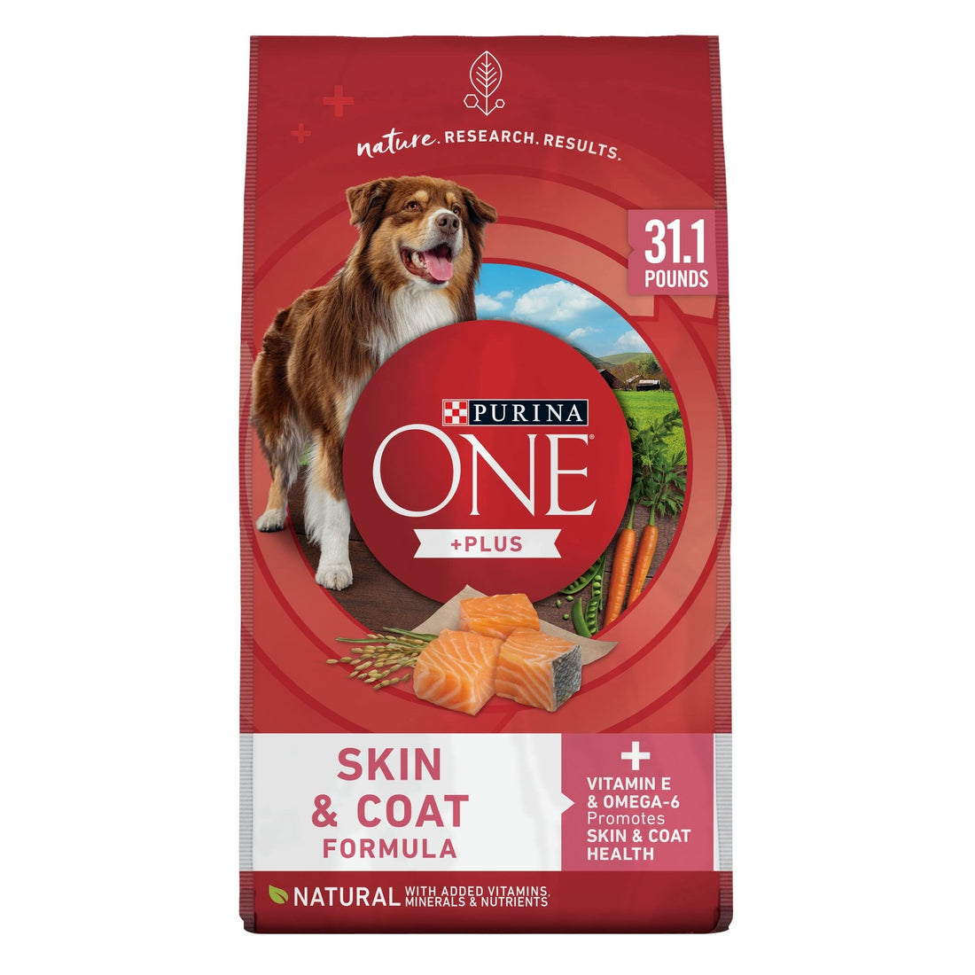 Purina ONE Natural, Sensitive Stomach Dry Dog Food, +Plus Skin & Coat Formula - 31.1 lb. Bag - Fenidog