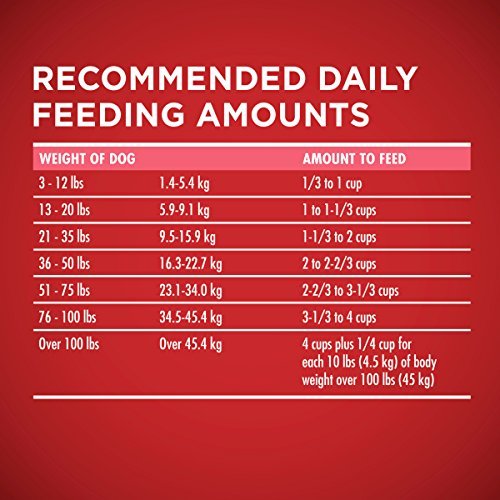 Purina ONE Natural, Sensitive Stomach Dry Dog Food, +Plus Skin & Coat Formula - 31.1 lb. Bag - Fenidog
