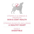 Purina ONE Natural, Sensitive Stomach Dry Dog Food, +Plus Skin & Coat Formula - 31.1 lb. Bag - Fenidog