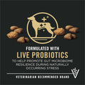 Purina Pro Plan Dog Food – 33 lb – Salmon & Rice Blend With Probiotics · Supports Digestive Health - Fenidog