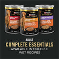 Purina Pro Plan Dog Food – 33 lb – Salmon & Rice Blend With Probiotics · Supports Digestive Health - Fenidog