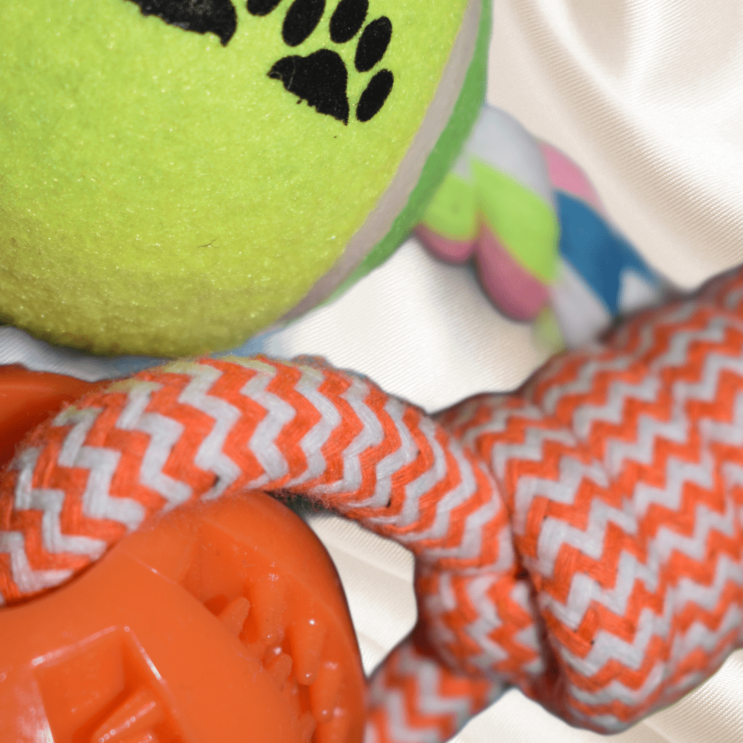 Set of tennis rope ball and rubber rope ball - Fenidog