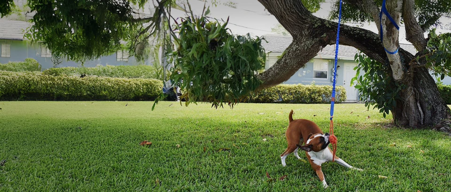 Fenidog-Mobile toy bannerslider_item_a7Xnpz